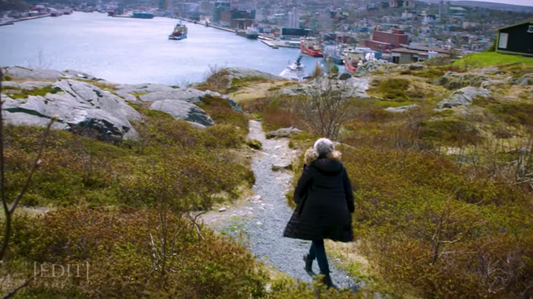 Moving to St. John's, Newfoundland and Labrador! The story of Rocket Cafe's Kelly Mansell.
