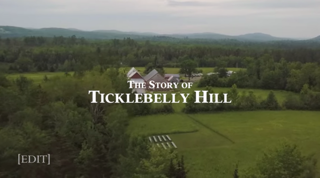 Moving To New Brunswick, Canada! The Story of Sarah Conley's Ticklebelly Hill